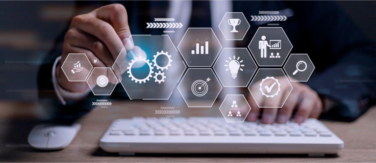 System and Process Consultant