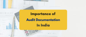 Importance of audit documentation - PKC India