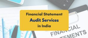 Financial statement audit services- PKC India
