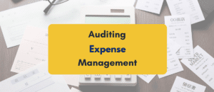 auditing-expense-management- PKC