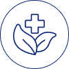 audit-services-icon1